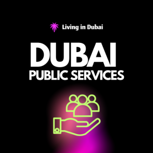 Dubai Public Services